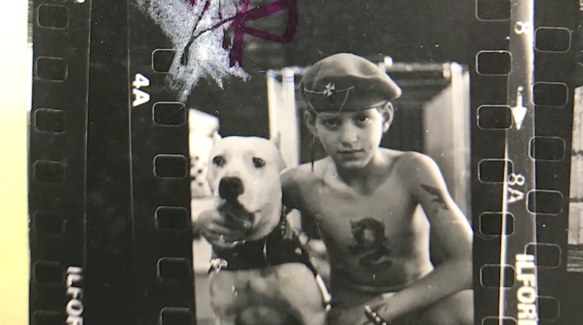 Freddy Madball
